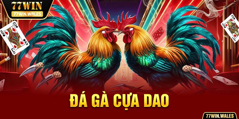 đá gà cựa dao 77win